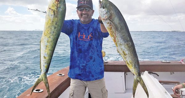 A pair of nice dolphin caught on a charter with Fishing Headquarters.