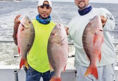 The mutton snapper are biting on both the day and night trips.