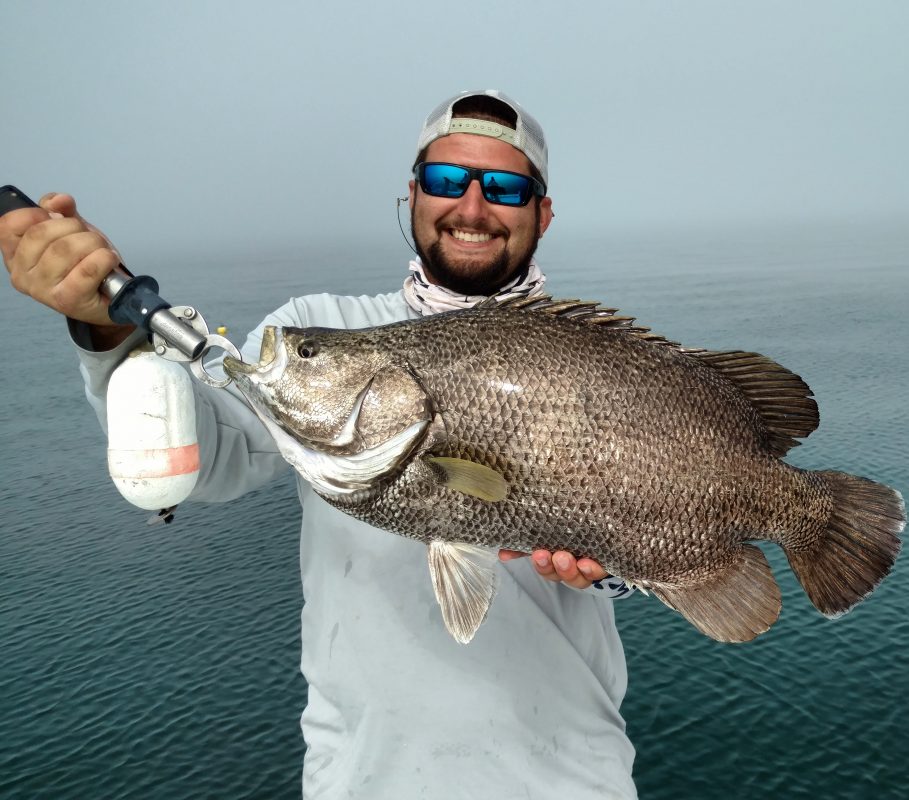 10lb tripletail Coastal Angler & The Angler Magazine