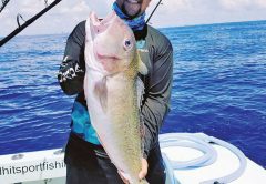 Loyal reader Chris Pascual caught this nice golden tilefish while deep dropping off Fort Lauderdale.