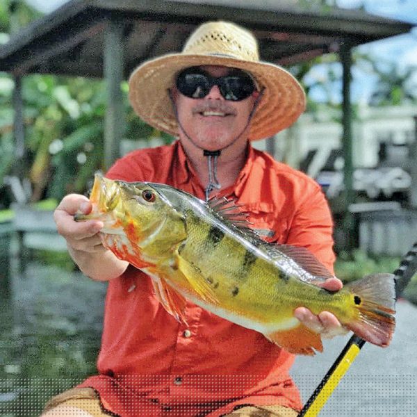 Rick Farabee with a solid peacock bass.