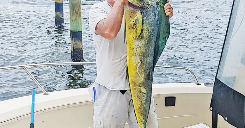 Richard Russell caught this 36 pound slammer in 450 feet off Sunrise Blvd. on a live ballyhoo.