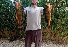 Steve Mistretta with a pair of nice peacocks caught in Parkland.
