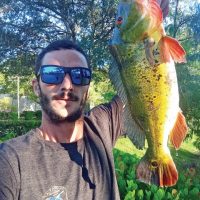 Steve Mistretta with a healthy Coral Springs peacock bass.