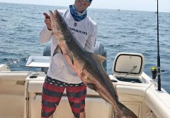 James Dolan of Overseas Fishing caught this slob of a cobia on a live gog in 90 feet, just north of Port Everglades.