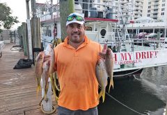Yellowtail snappers caught aboard the Catch My Drift.