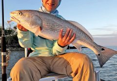 10 year old Joseph Grandonico repped the 954 in Everglades City with this solid redfish.
