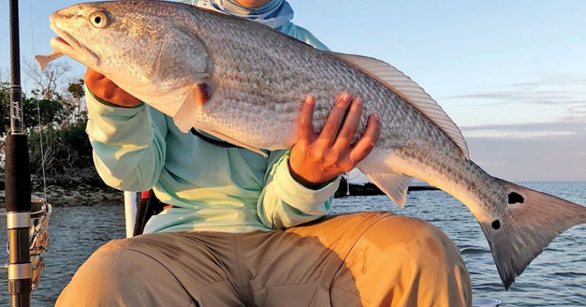 10 year old Joseph Grandonico repped the 954 in Everglades City with this solid redfish.