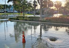 The result of the second sewage spill at George English Park.