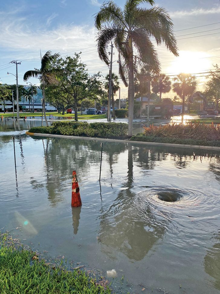 The result of the second sewage spill at George English Park.