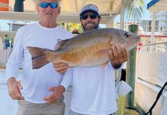 Big mangrove snapper caught aboard the Catch My Drift.