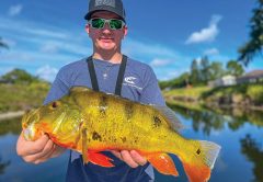 Shawn Issacs with a 7-pound peacock caught while fishing with Capt. Johnny Stabile.