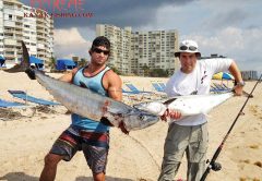 November is a great month to target kingfish from a kayak.