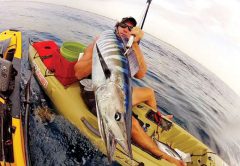 Joe Hector slayed this wahoo from his kayak.