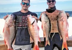 Quality mutton snappers caught with Fishing Headquarters.