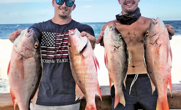 Quality mutton snappers caught with Fishing Headquarters.