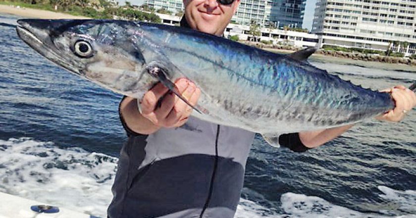 Smoker kingfish caught on a charter with Fishing Headquarters.