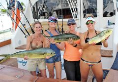 Team AtlasTrax ladies caught these dolphin aboard 'Reel Captivating.'