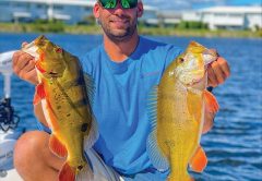 Trey Dobson from Alabama down in Florida with two very healthy peacock bass.
