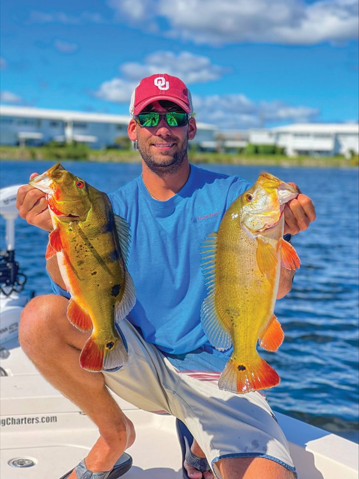 Trey Dobson from Alabama down in Florida with two very healthy peacock bass.