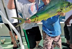 Justin holding a nice dolphin caught by this happy angler aboard the Catch My Drift.