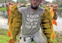 Tym Walker aka @kaya_mystic_daddy with a pair of quality peacock bass.