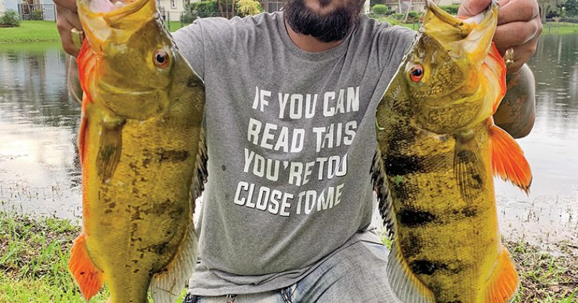 Tym Walker aka @kaya_mystic_daddy with a pair of quality peacock bass.