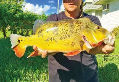 Kristen Drago, aka @reggaegerl, with a stud peacock bass.
