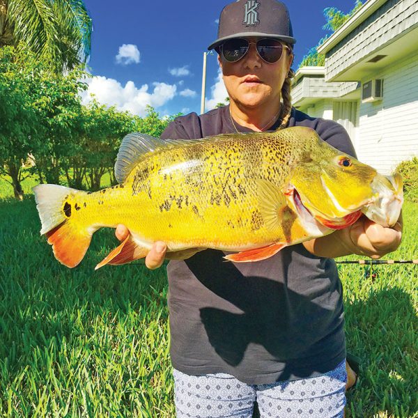 Kristen Drago, aka @reggaegerl, with a stud peacock bass.