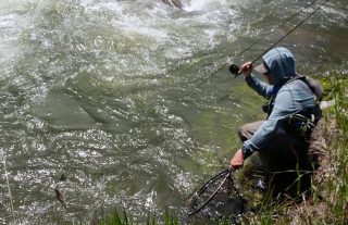 Lake Lure fly fishing