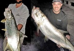 Jay Spalding and Mike Lipski with twin tarpon caught in Fort Lauderdale.