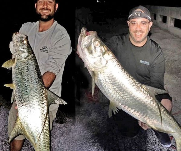 Jay Spalding and Mike Lipski with twin tarpon caught in Fort Lauderdale.