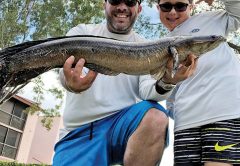 Adam Lipski, VP of Sales at Reel Deal Bait & Tackle, slayed this snakehead while fishing with his dad.