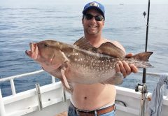 Nice Red Grouper