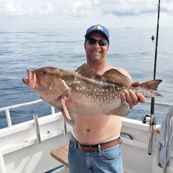 Nice Red Grouper