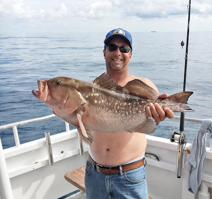 nice red grouper