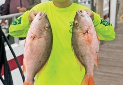 Nice snapper caught by Micky on the Catch My Drift.