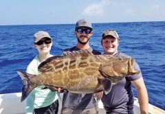 Big black grouper caught and released aboard the New Lattitude.