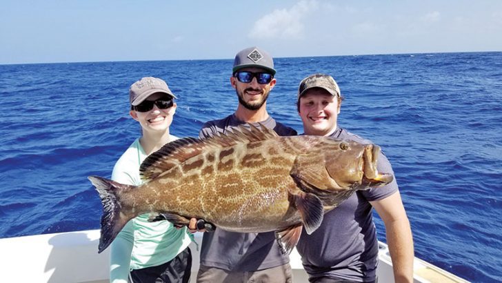 Big black grouper caught and released aboard the New Lattitude.