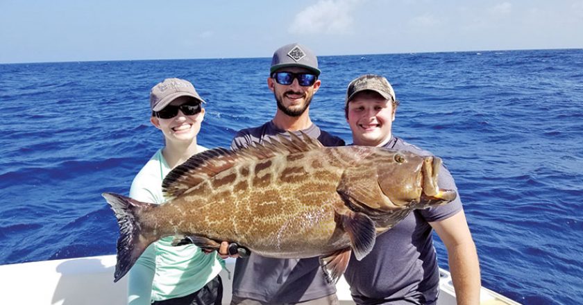 Big black grouper caught and released aboard the New Lattitude.