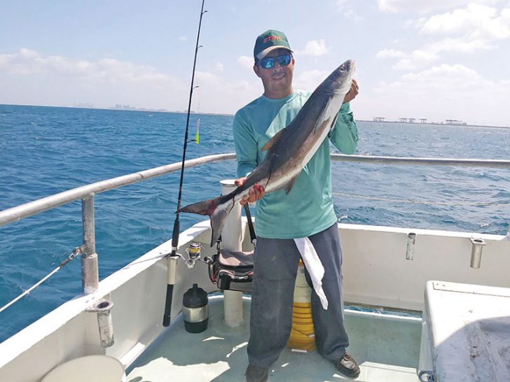 Orlando with a nice cobia caught aboard the Catch My Drift.