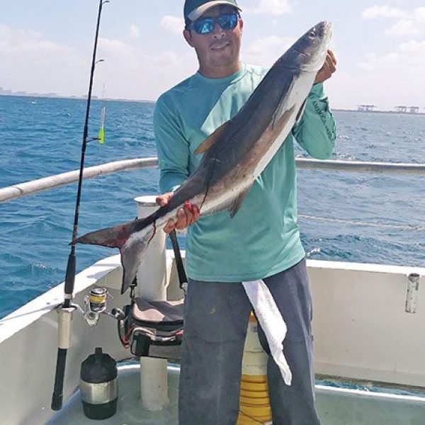 Orlando with a nice cobia caught aboard the Catch My Drift.