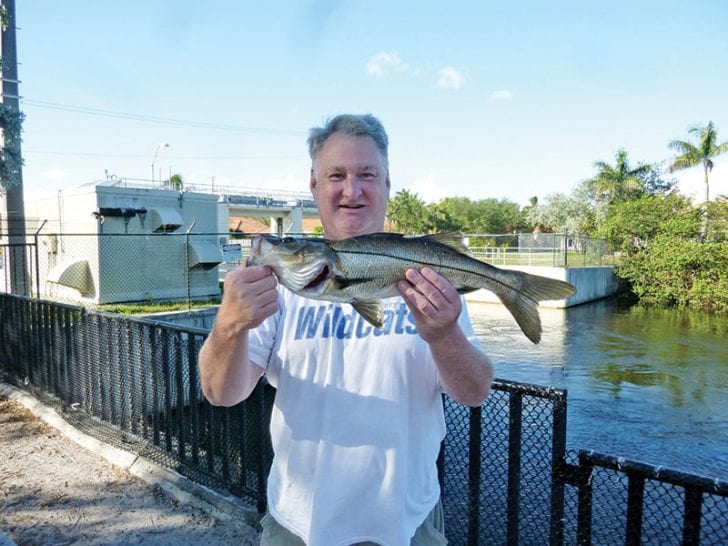Mark Finch with freshwater snook caught on a live shiner at the Sewell lock in Davie.
