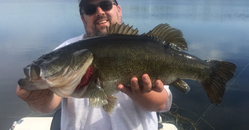 Sal Rinaldo, Bass, 11.0lbs, Lake Aurora