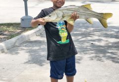 Seven-year-old Sandro Toruno with a very respectable freshwater snook.