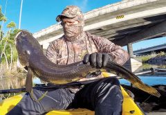@kayakfrank with a coconut head bullseye snakehead.