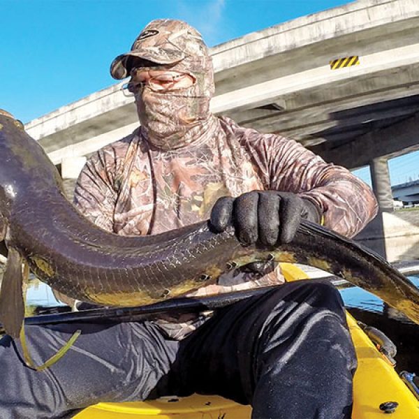 @kayakfrank with a coconut head bullseye snakehead.