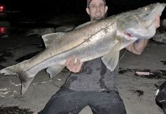 Justin Wilson with a nice snook caught on a jig off Hillsboro Beach.