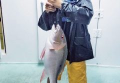This kiddo caught this nice mutton snapper night fishing aboard the Catch My Drift.