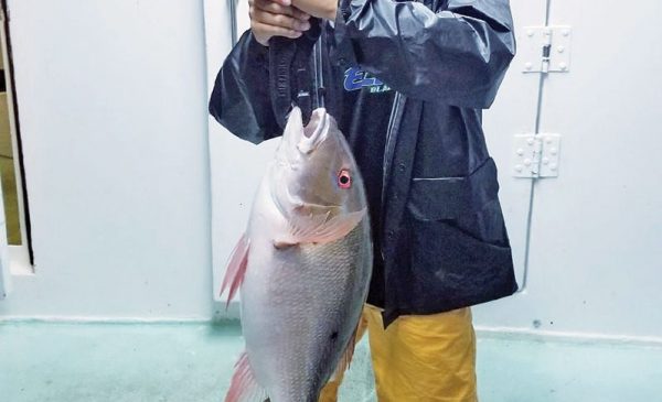 This kiddo caught this nice mutton snapper night fishing aboard the Catch My Drift.